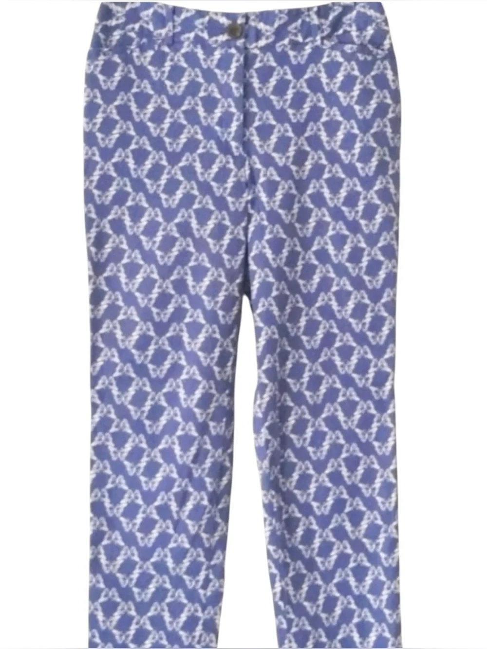 Talbots Butterfly Pants in Blue 2