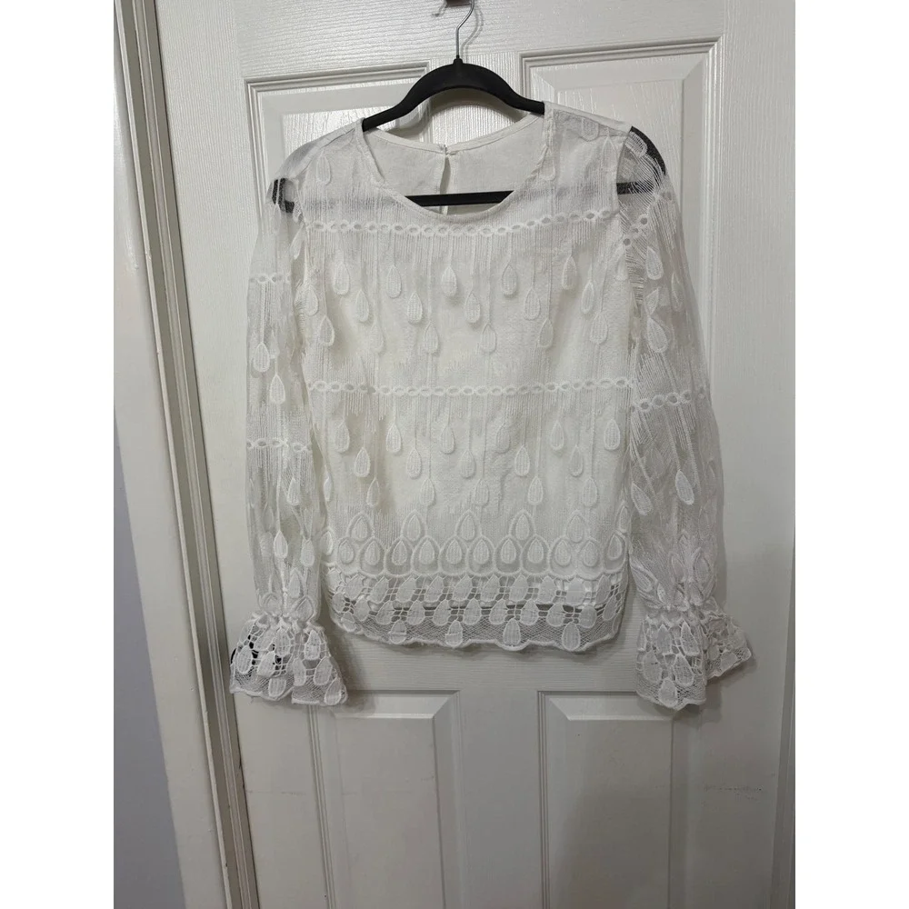 Zara embroidered lace
