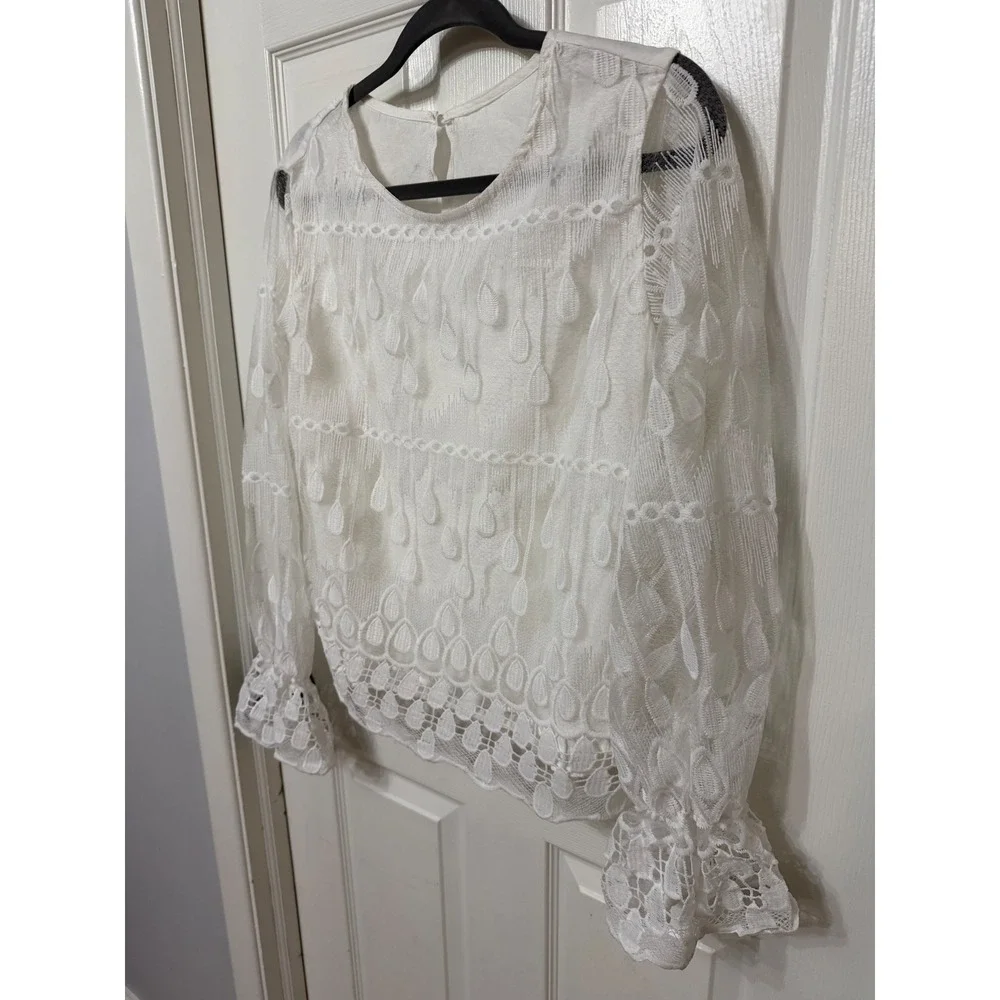 Zara embroidered lace