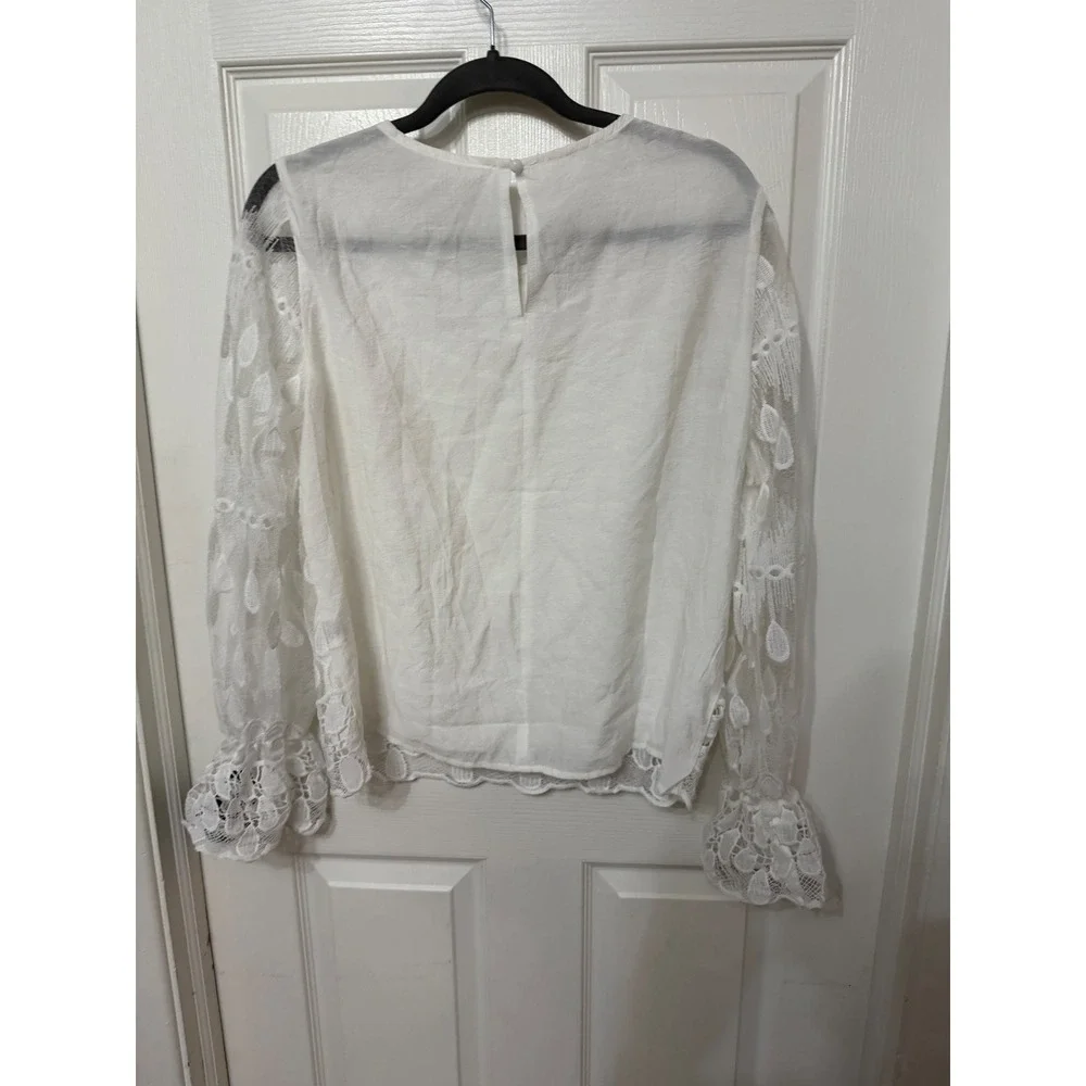Zara embroidered lace