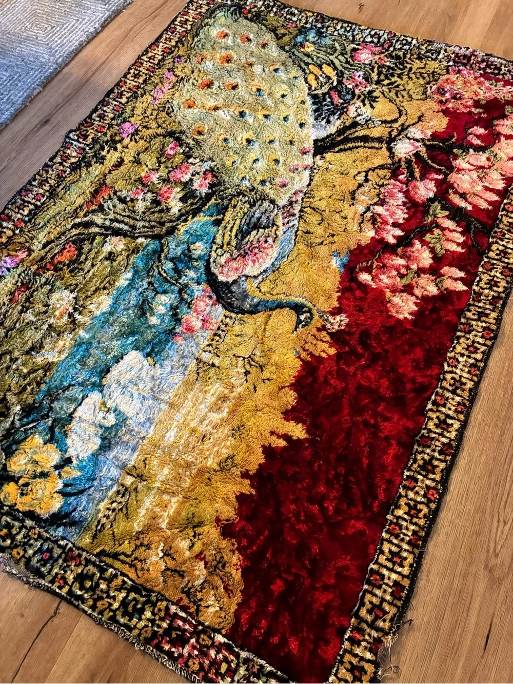 Source Unknown vibrant peacock