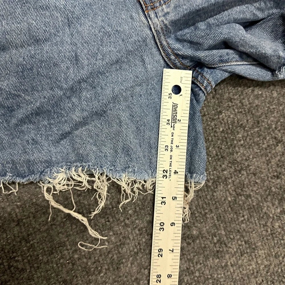 RSQ denim carpenter