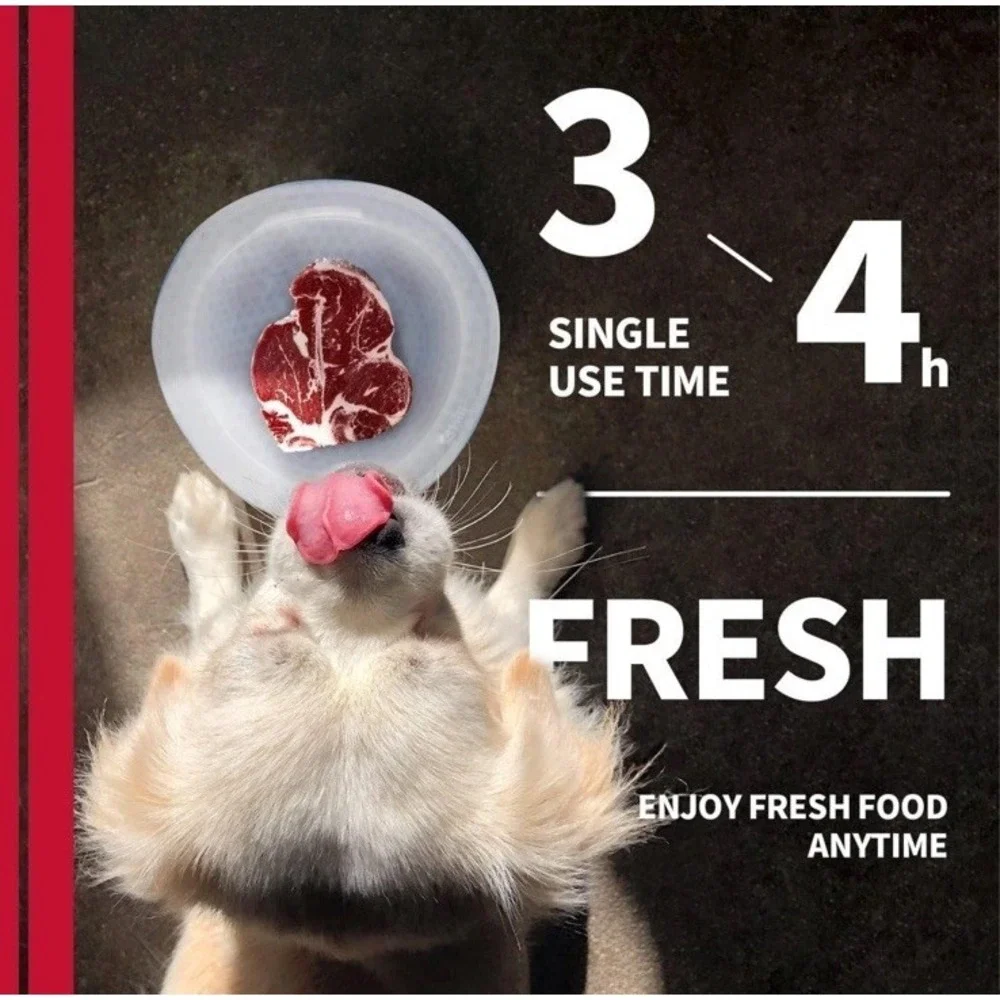 All For Paws all paws