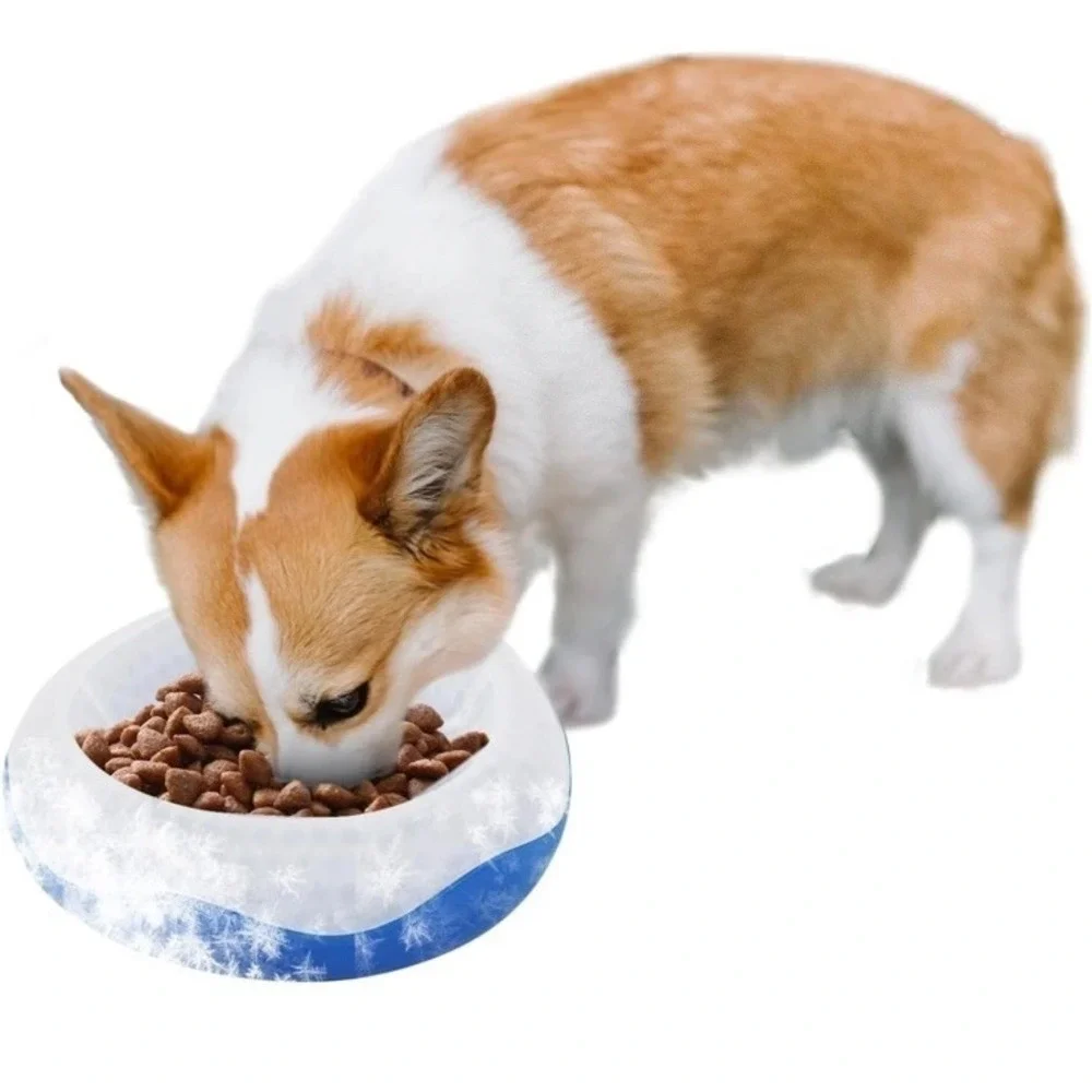 All For Paws all paws