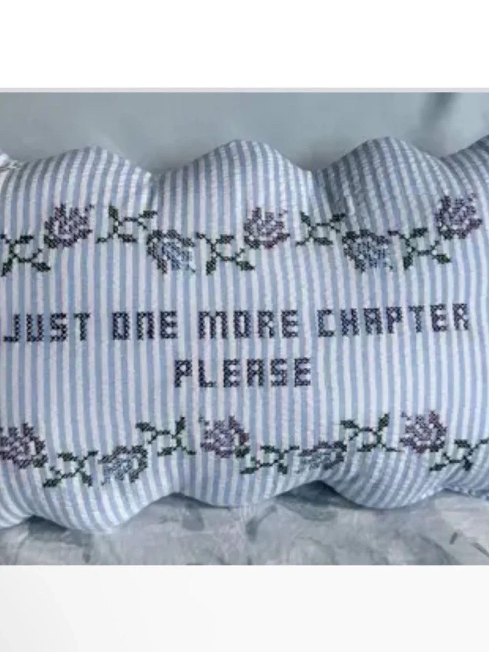 Embroidered 'Just One More Chapter Please' Decorative Pillow - Blue Stripe