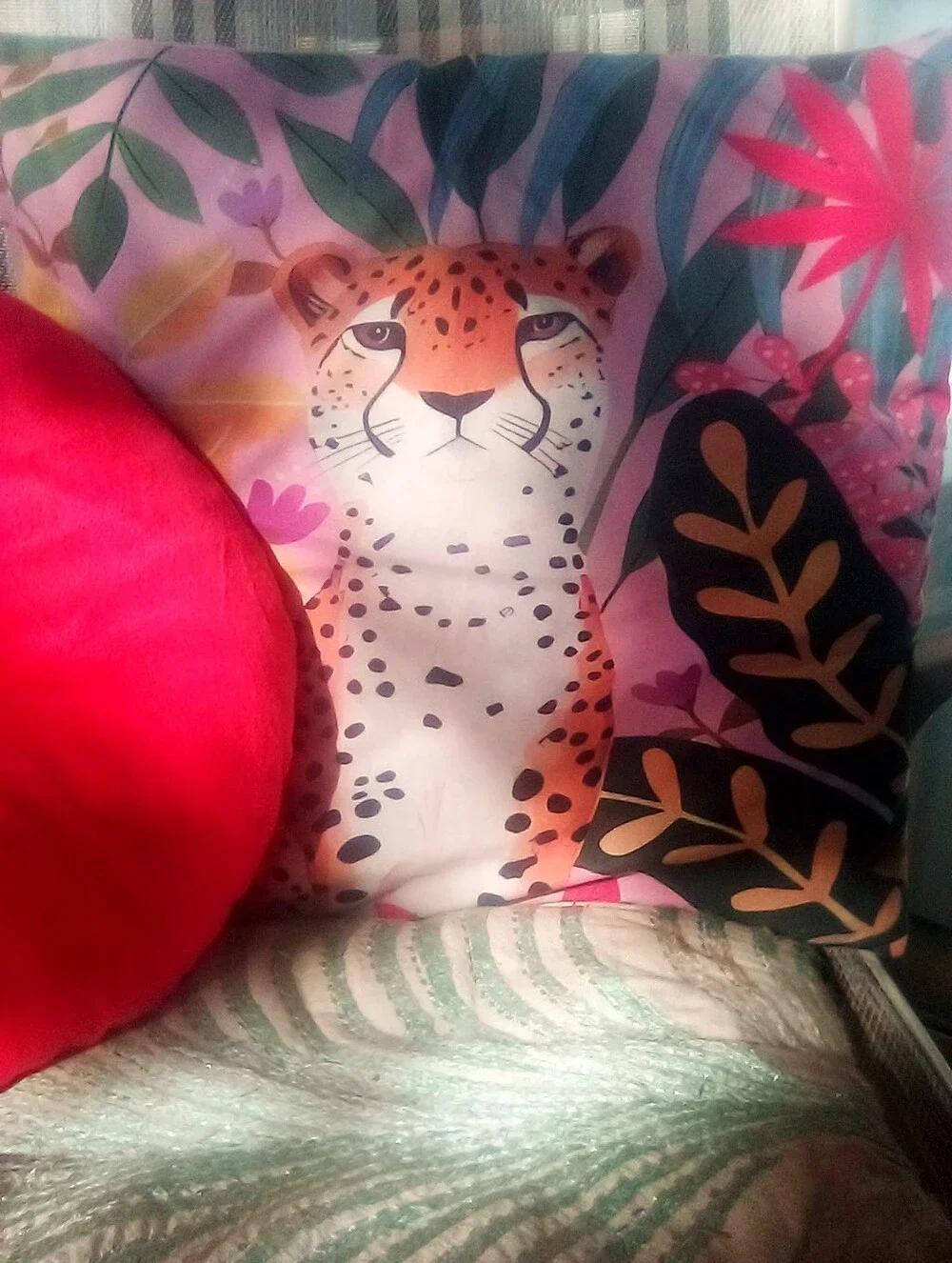 N/A vibrant pillow