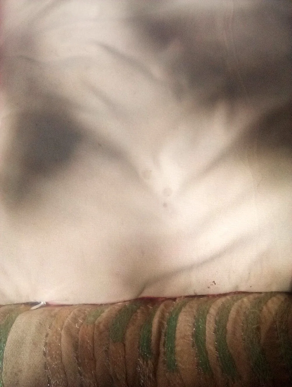N/A vibrant pillow
