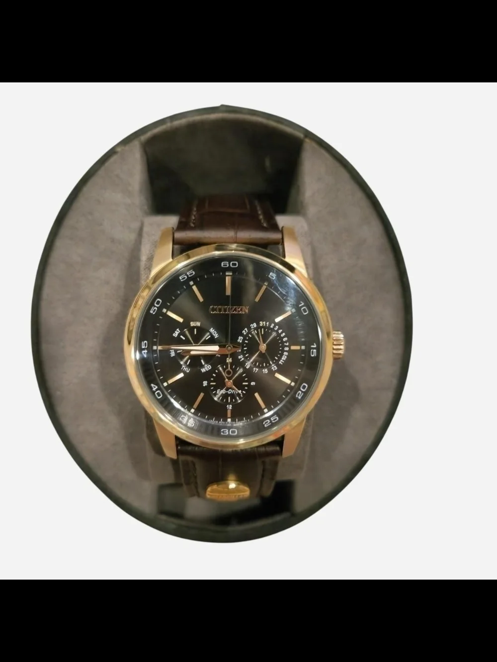 Citizen eco drive