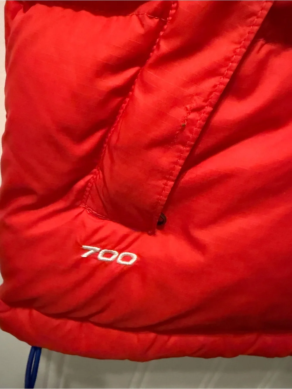 The North Face internal hood