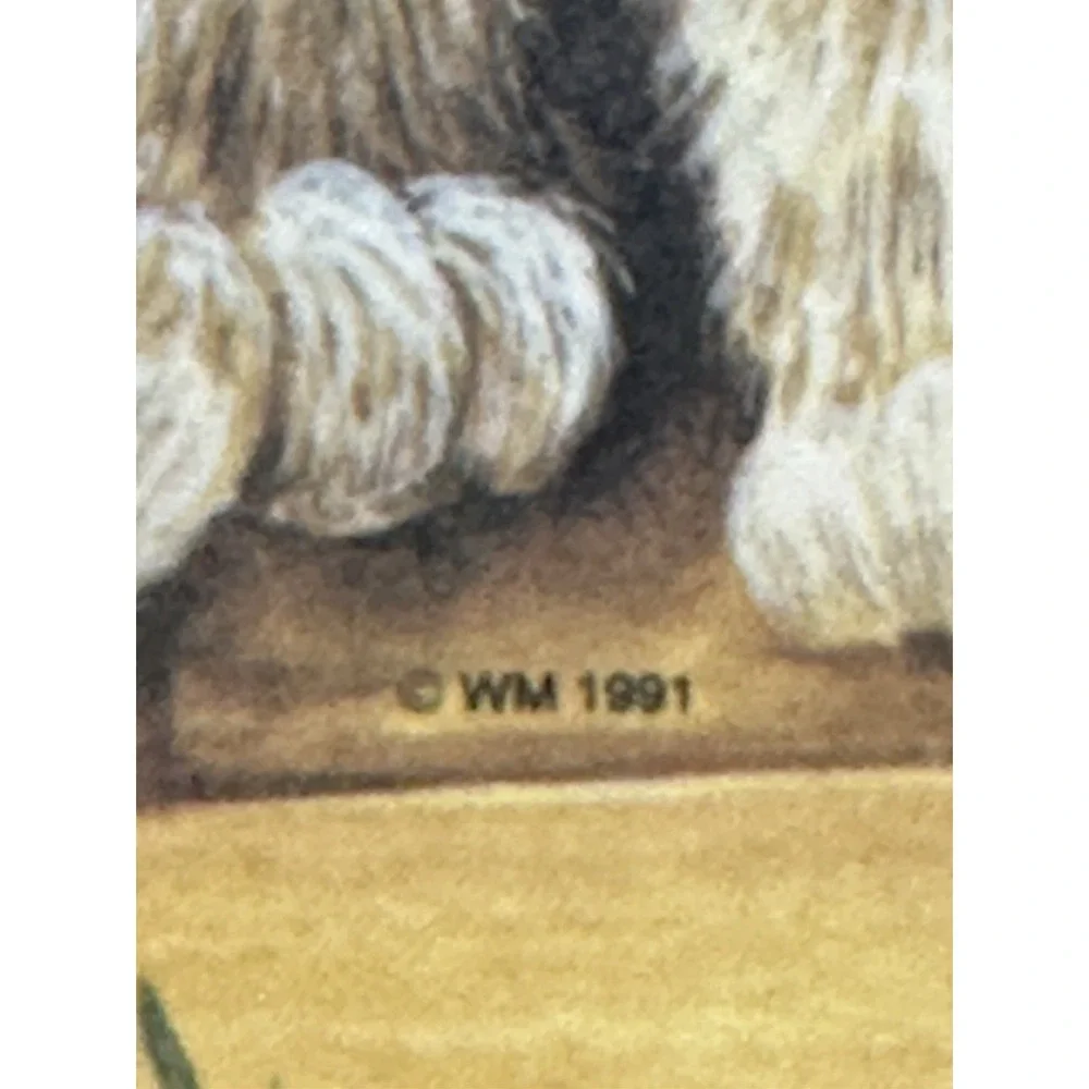 Wilscombe kittens vintage