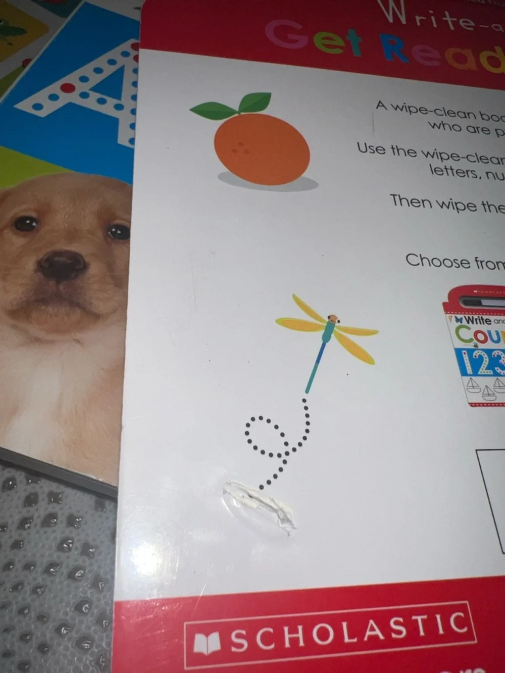 Scholastic write wipe