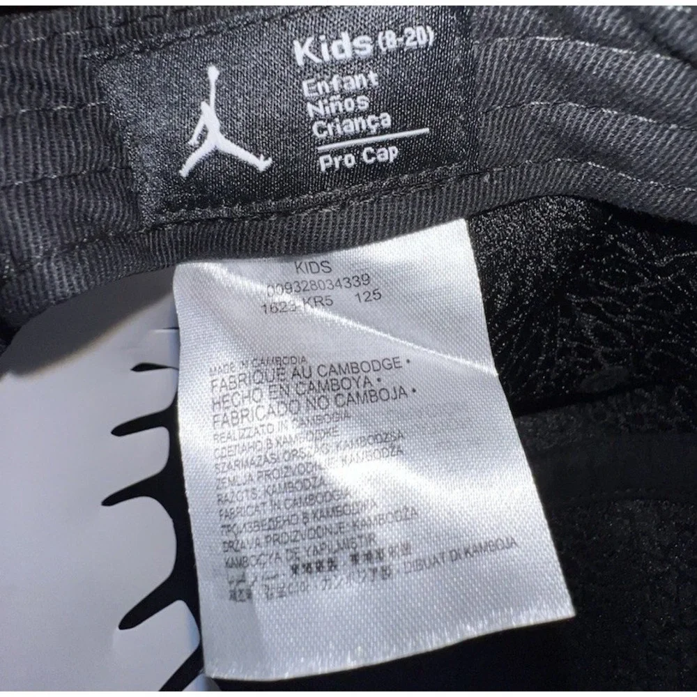 Jordan 12 air