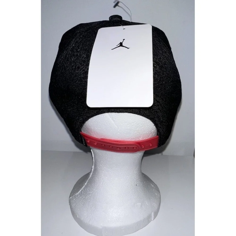 Jordan 12 air