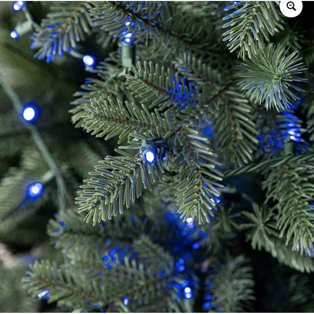 Holiday Time 500 blue
