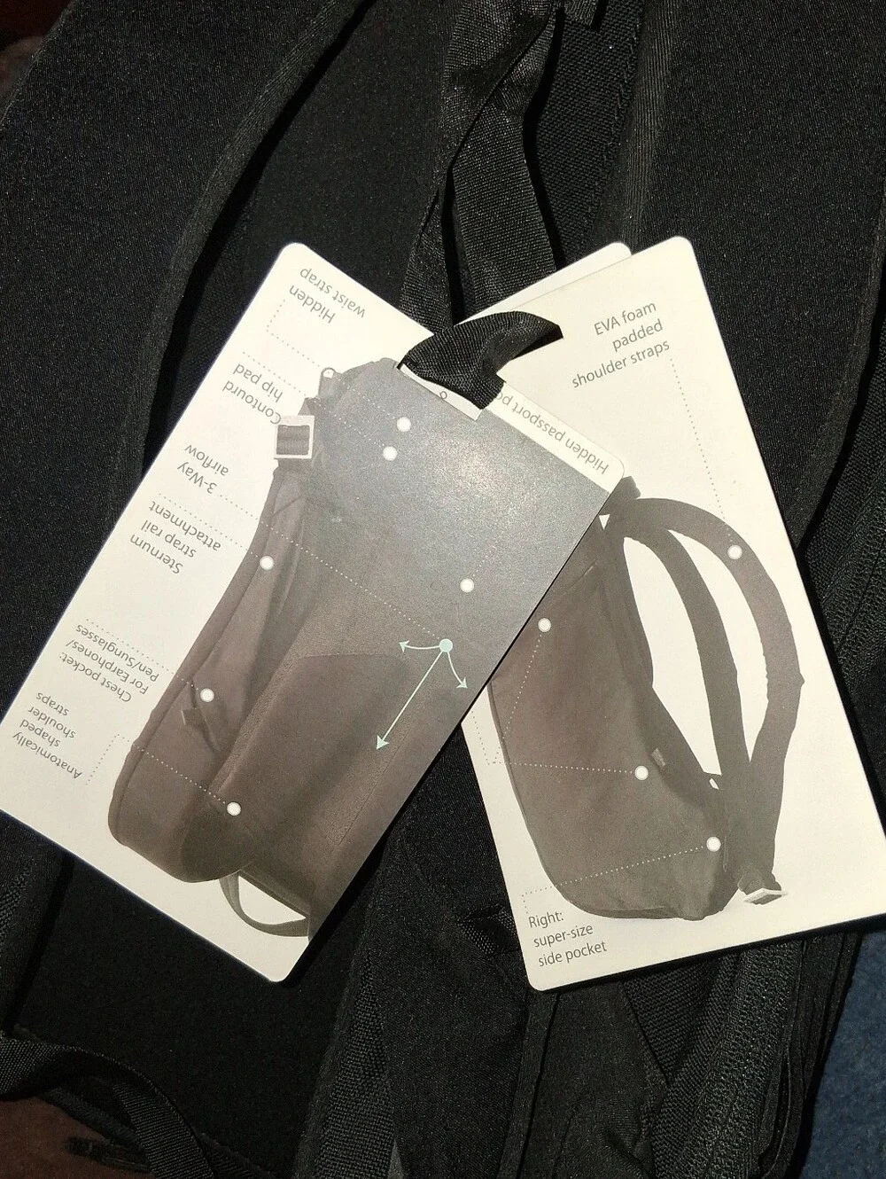 Koala Gear brand new