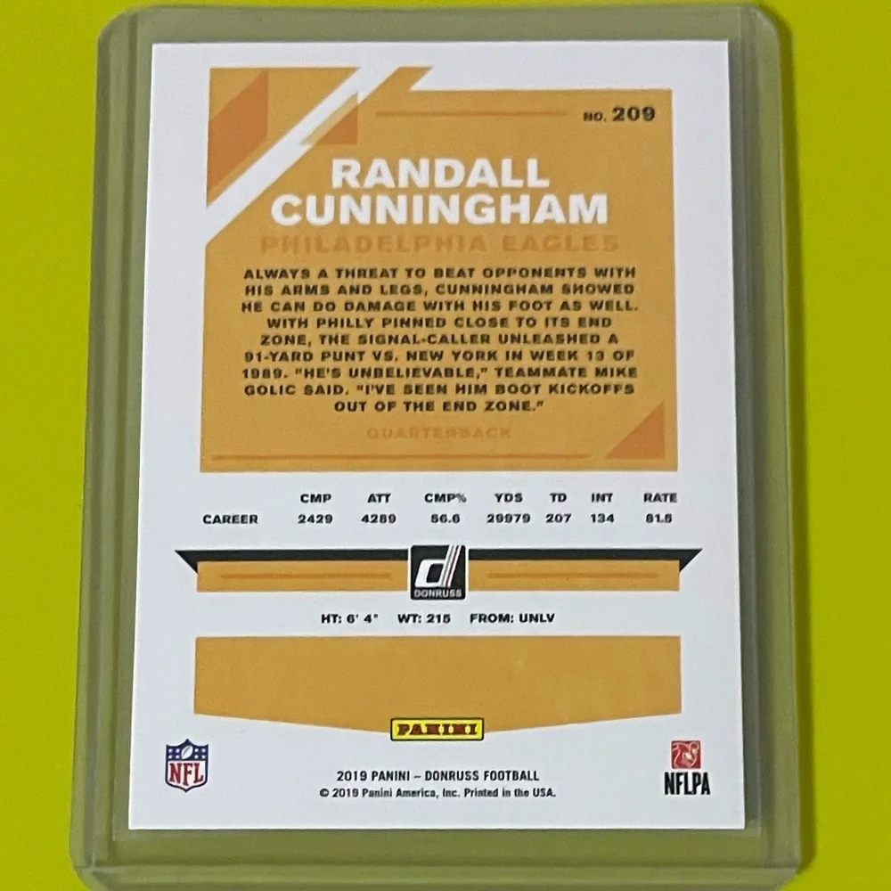 Panini great ungraded