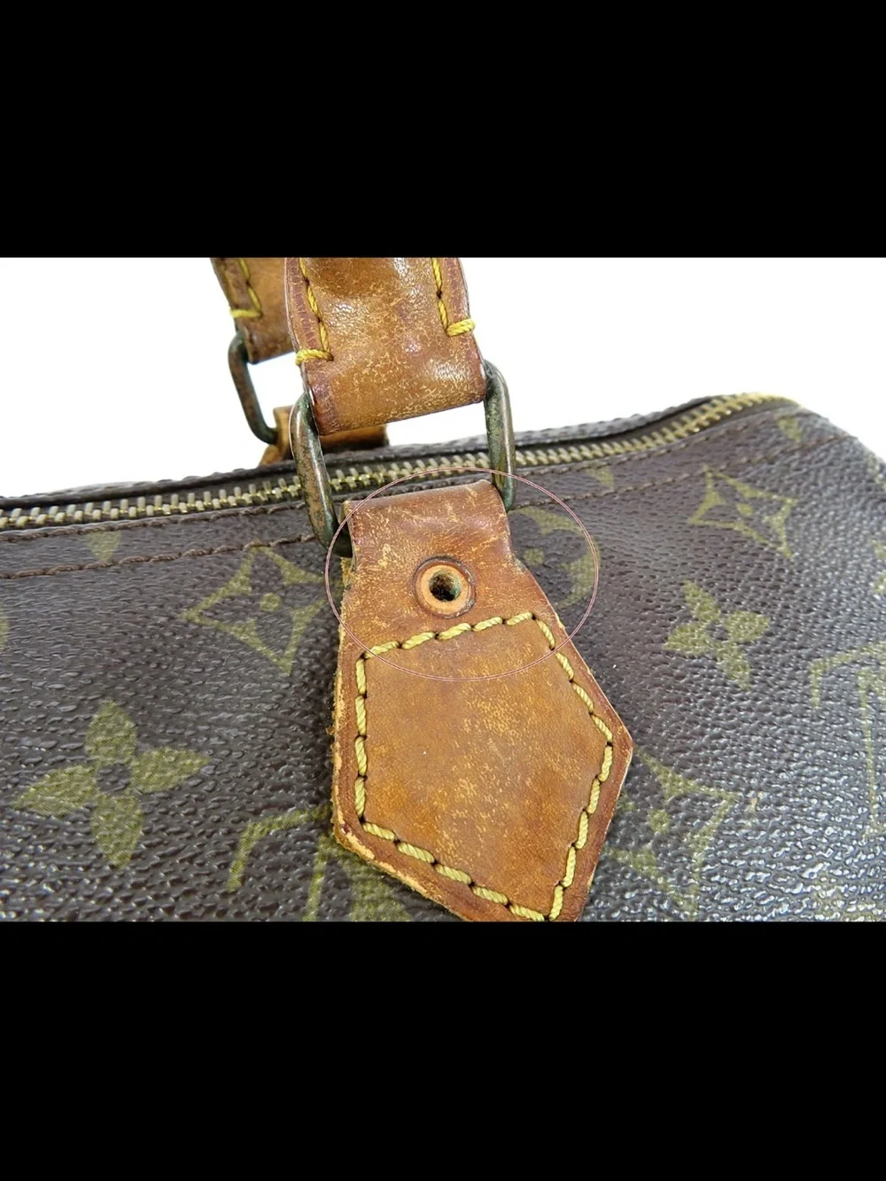 Louis Vuitton iconic louis