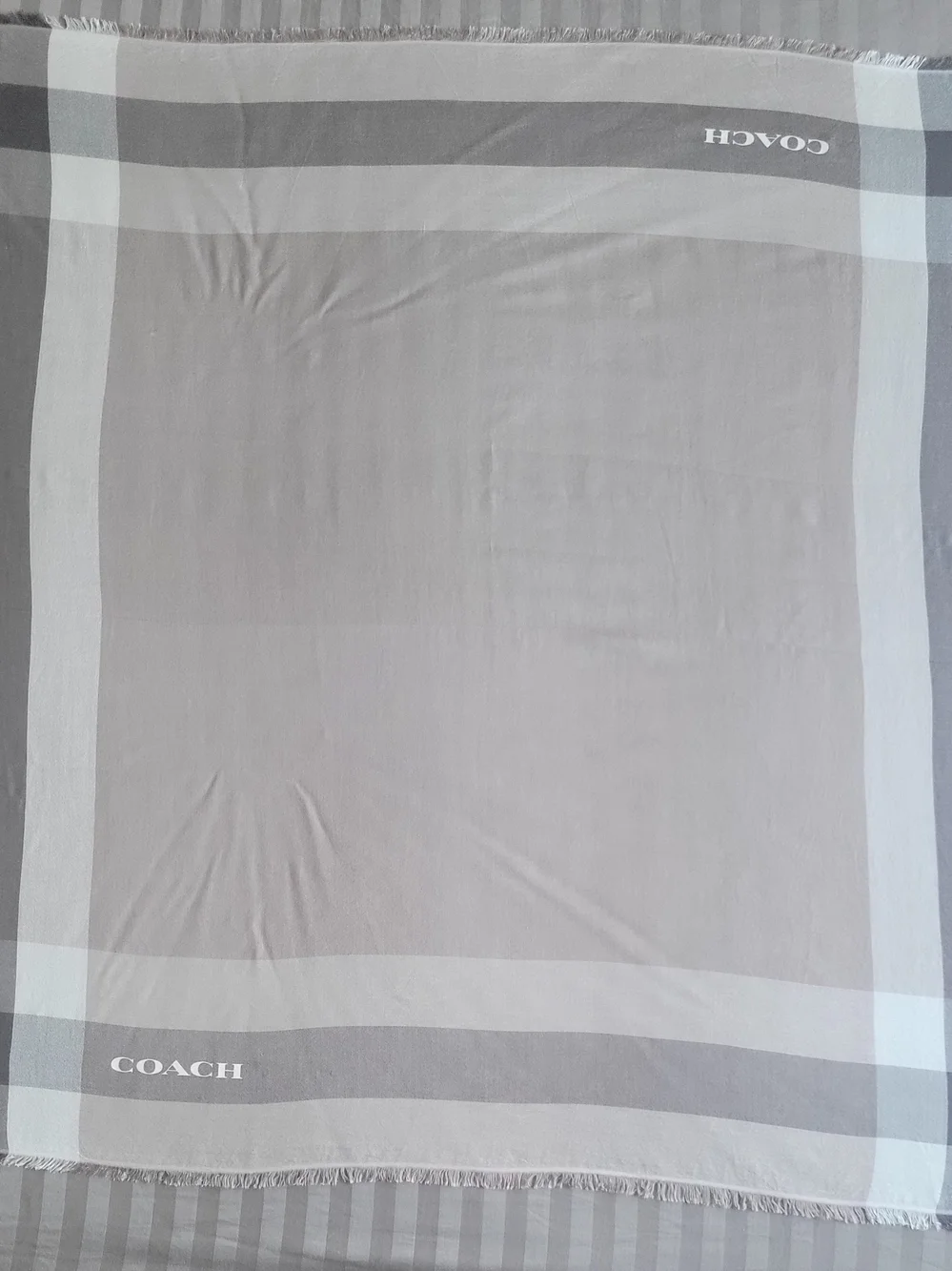 Coach plaid logo side