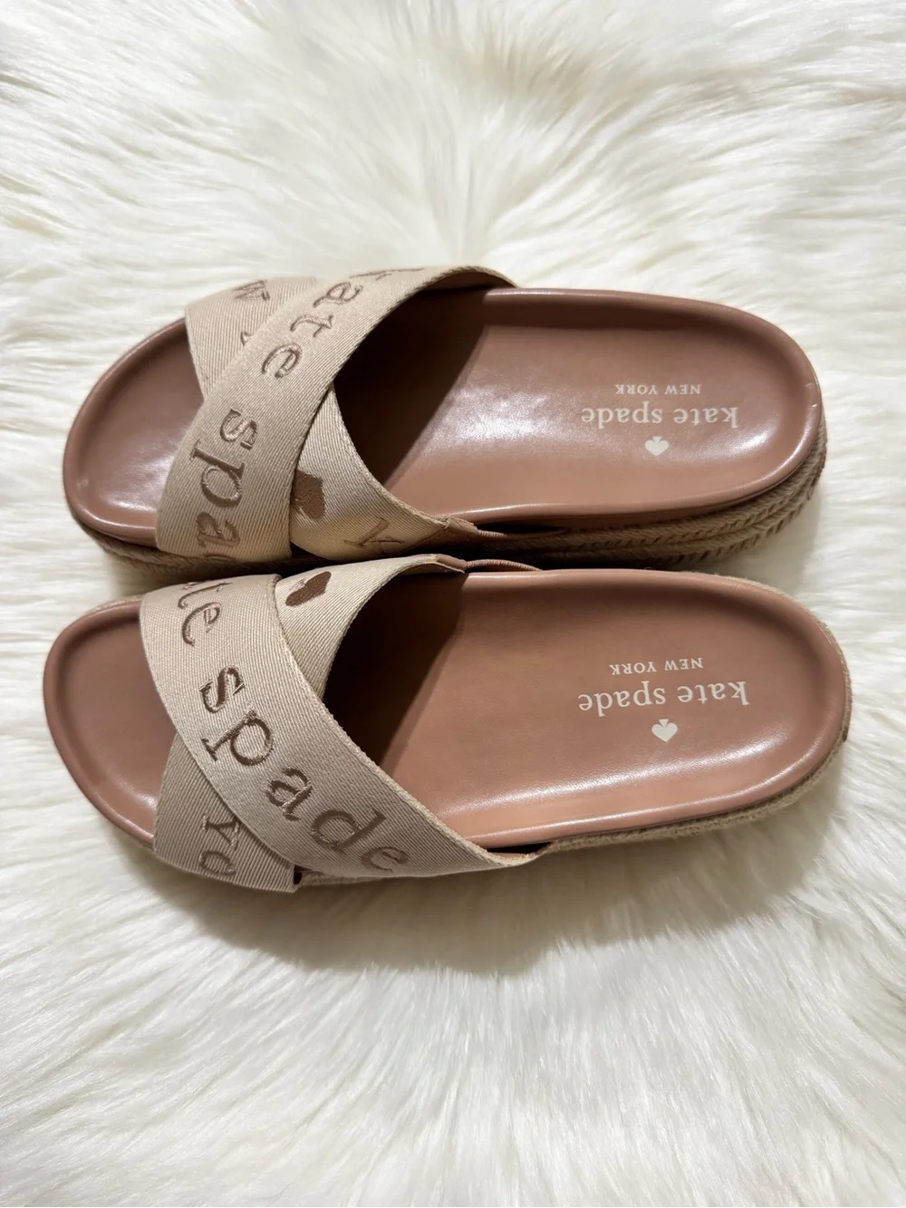 kate spade kate spade