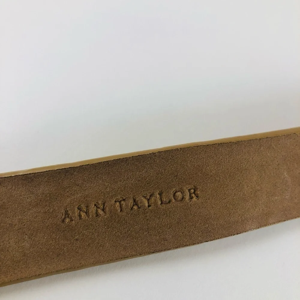 Ann Taylor used buckle