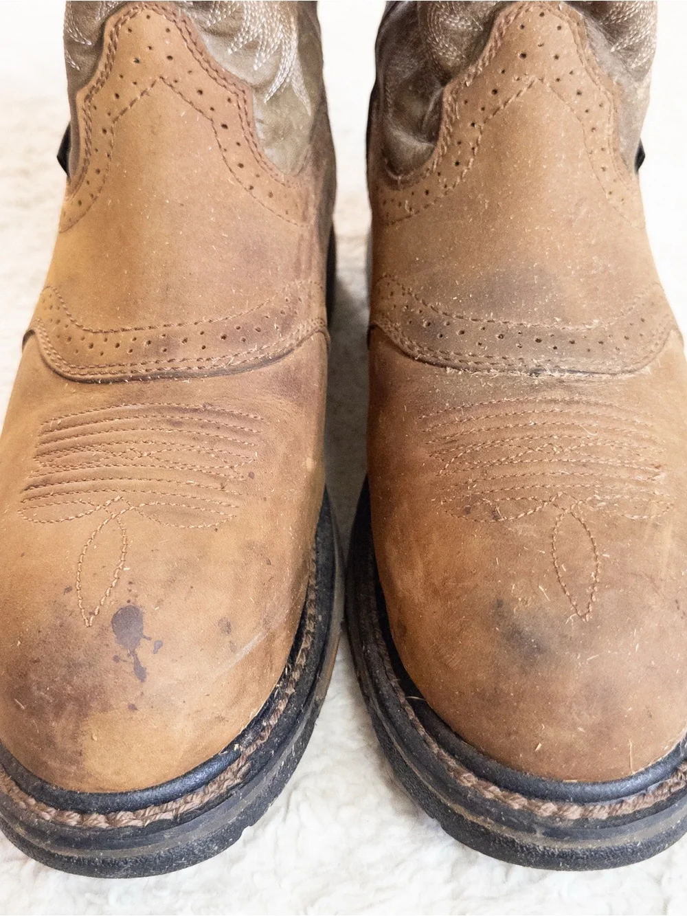 Ariat composite toe