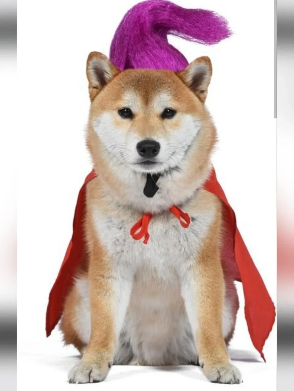 Disney official mary