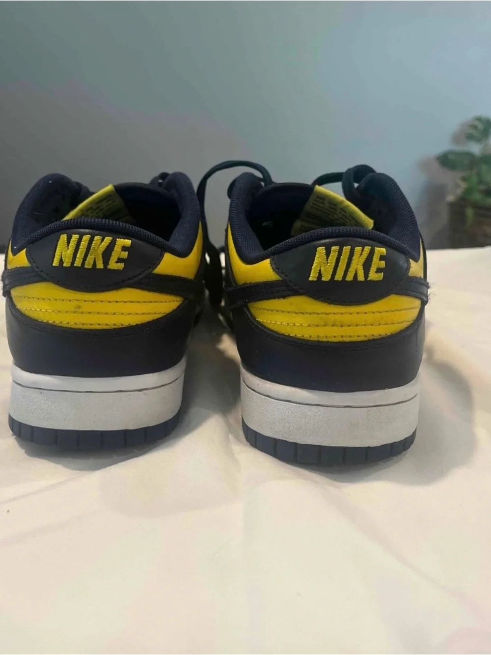 Nike low top