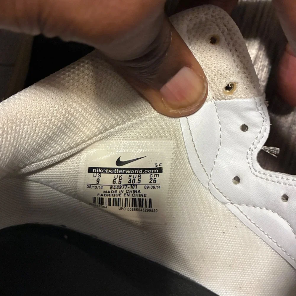 Nike authentic dunk