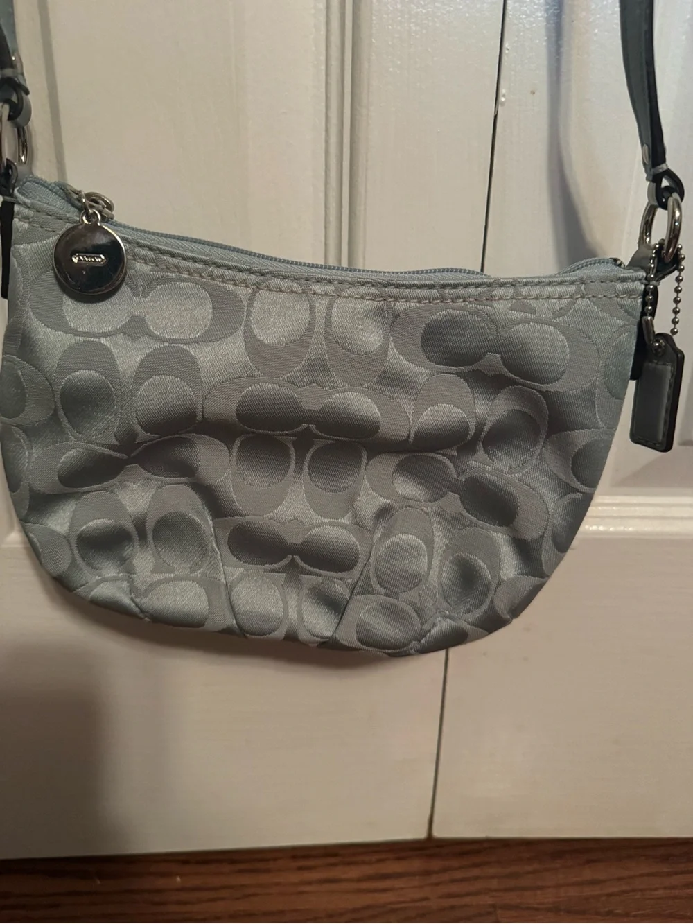 Coach crossbody light