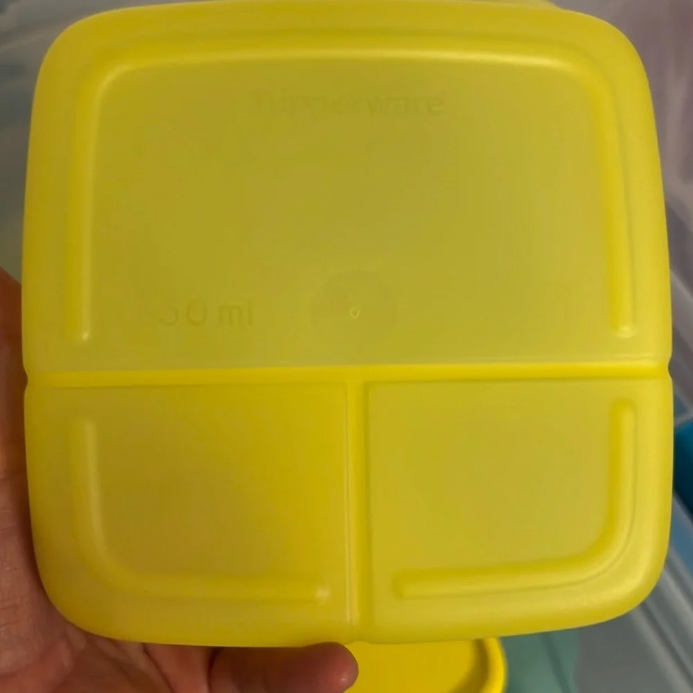 Tupperware divided container