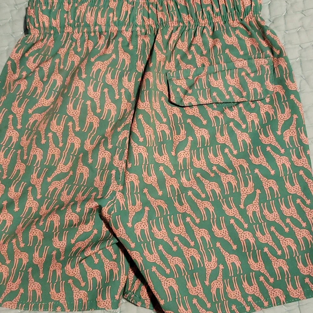 Class Club 8 Green Pink Giraffe Swim Trunks Shorts