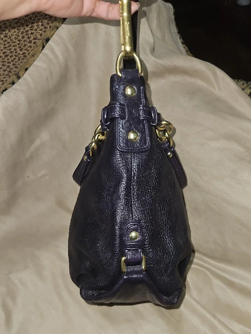 Coach soft purple