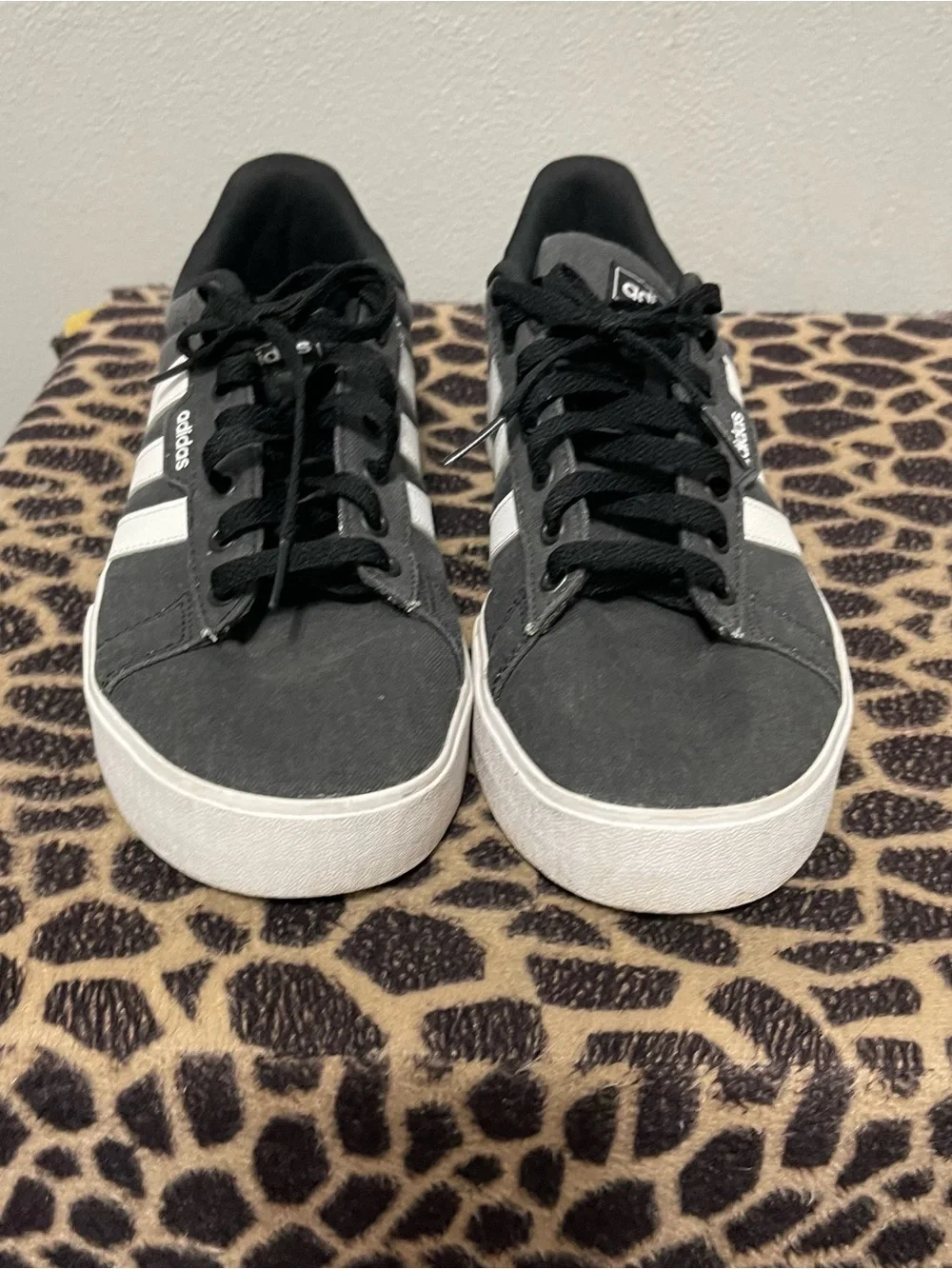 adidas daily casual