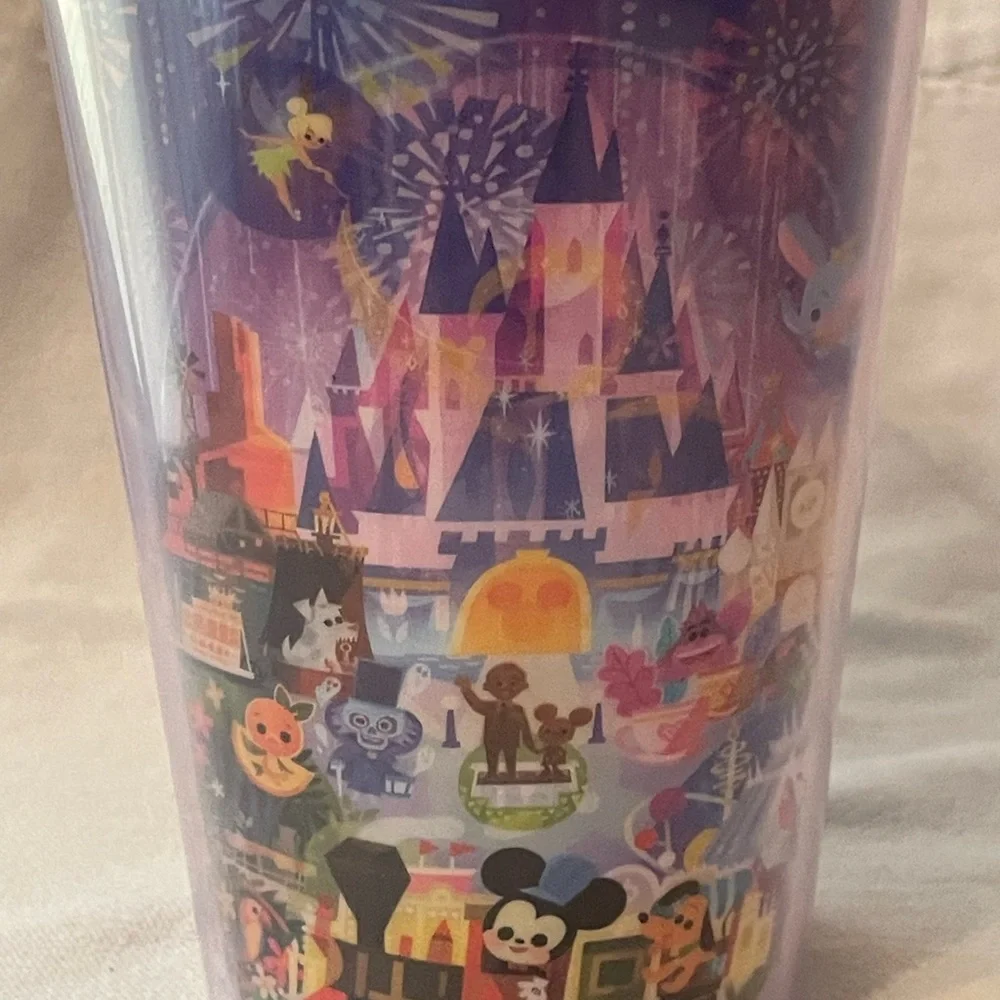 Disney product parks