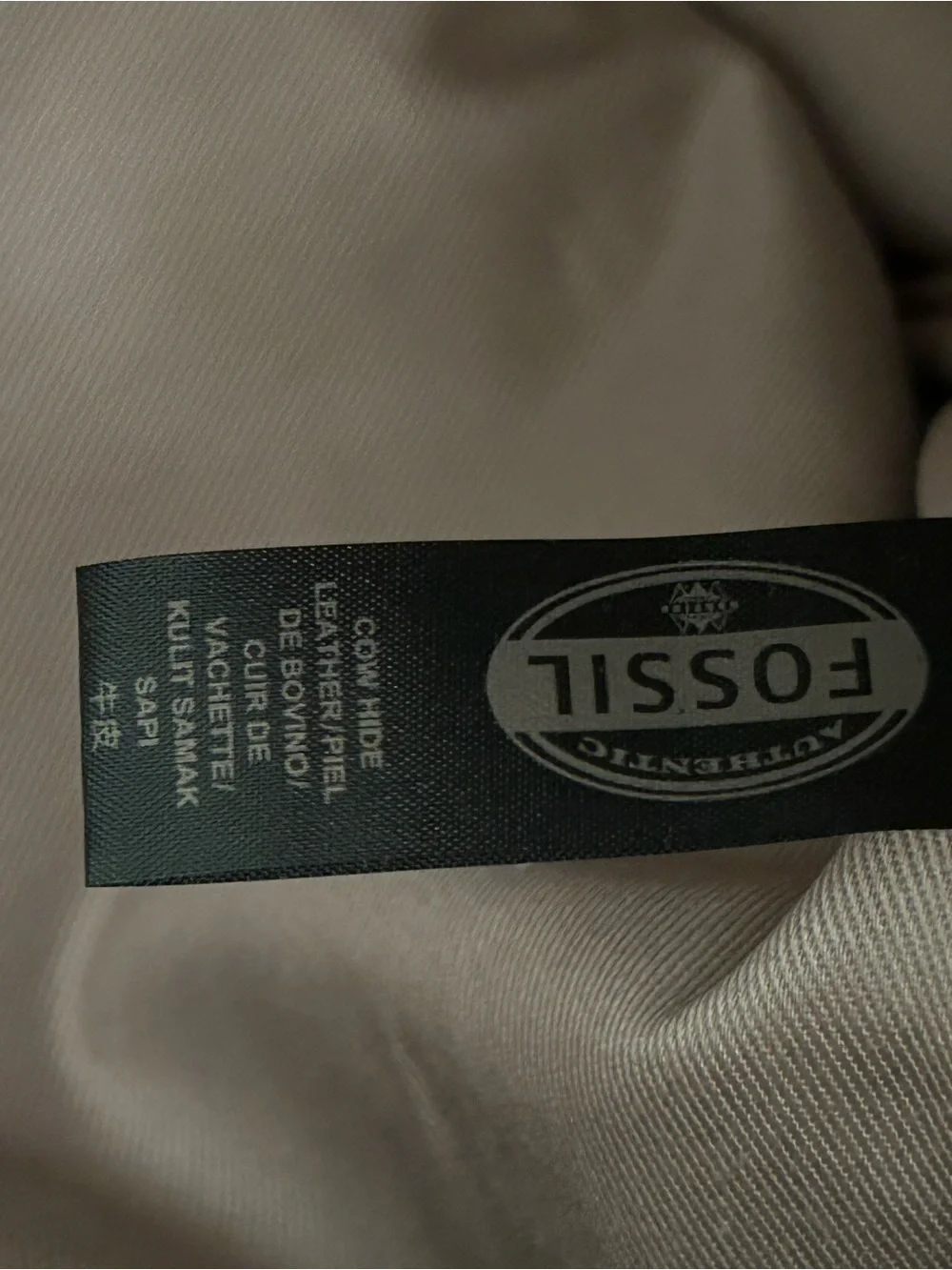 Fossil karli hobo