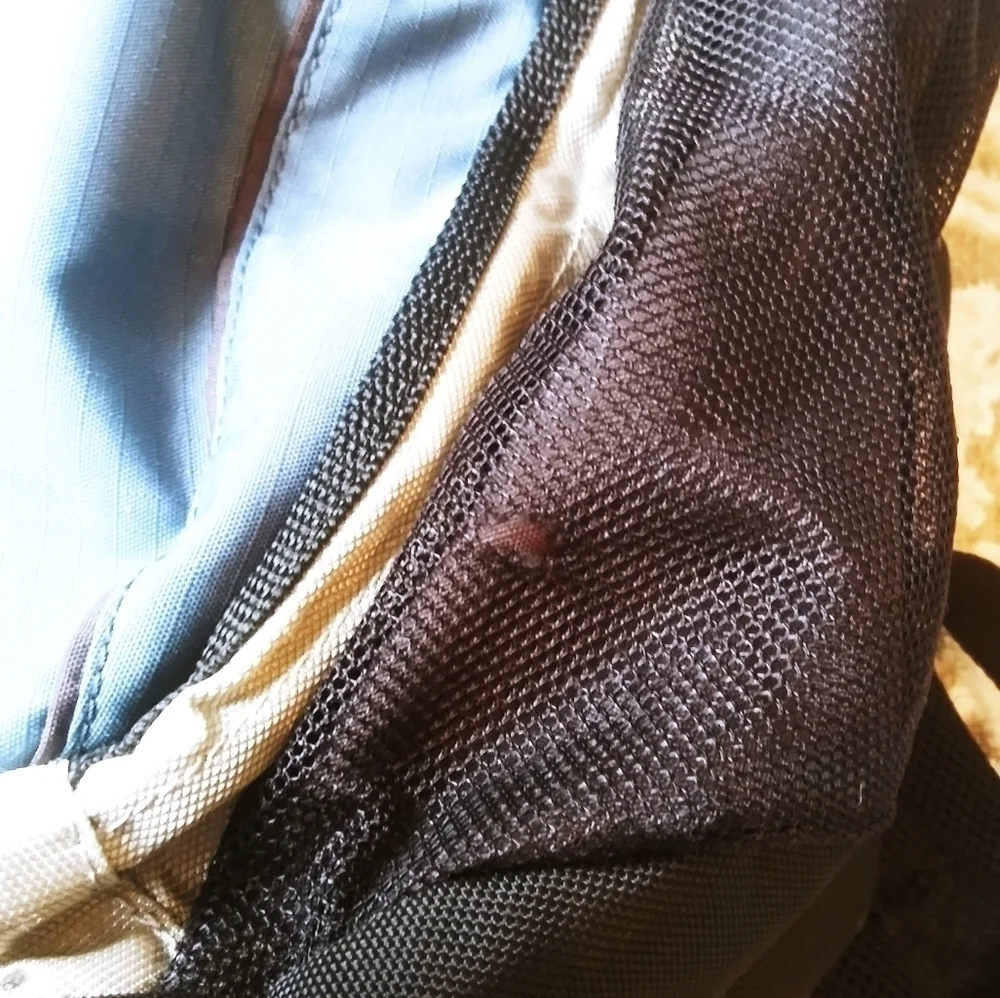 Samsonite backpack padded for computer blue gray‎