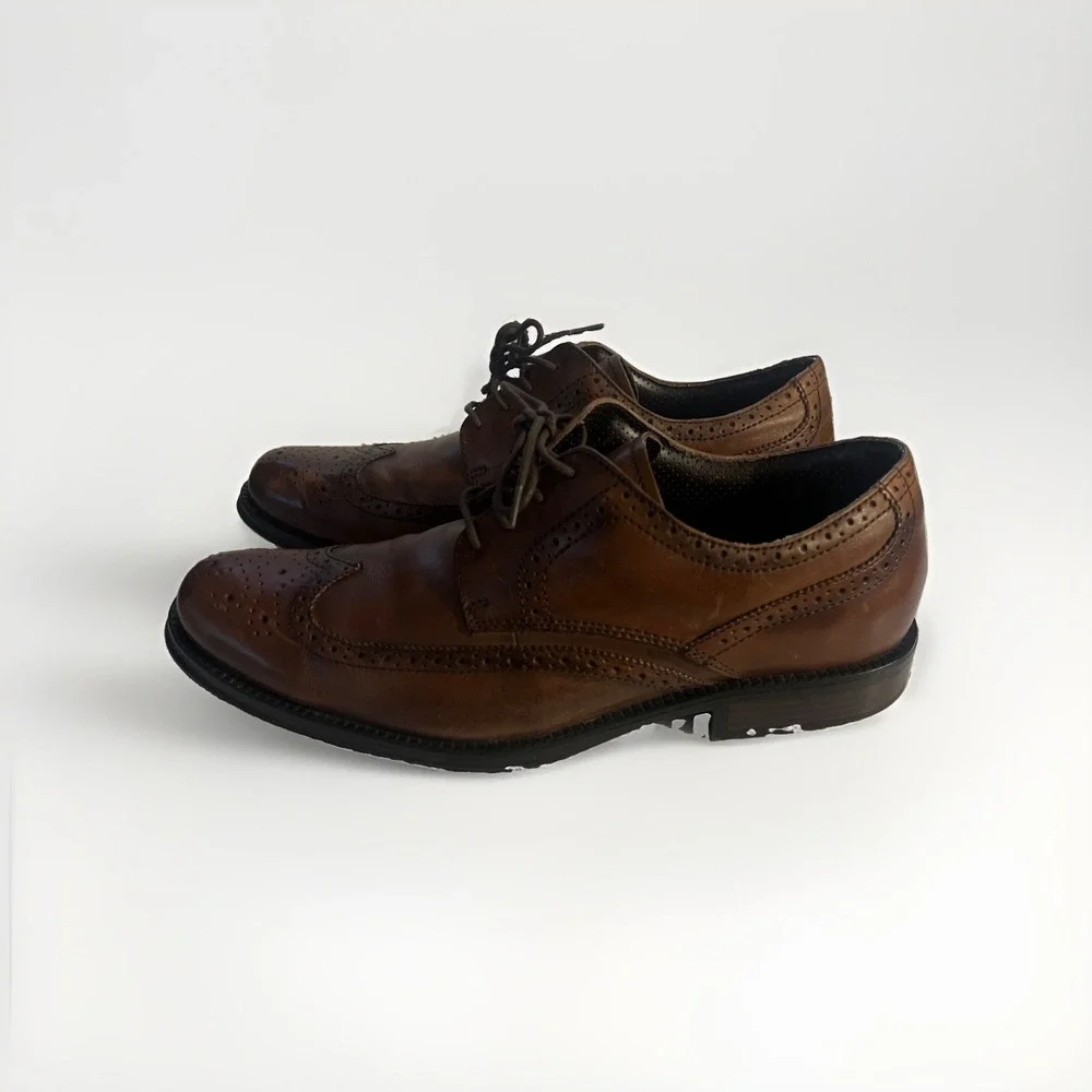 Chaps men brown