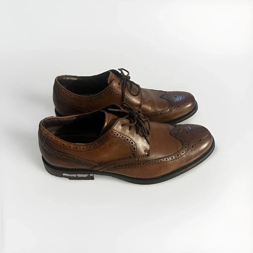 Chaps men brown