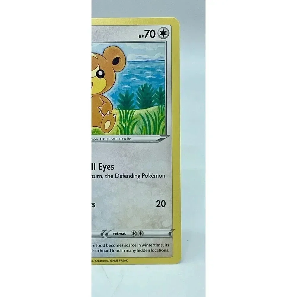 Pokemon this teddiursa