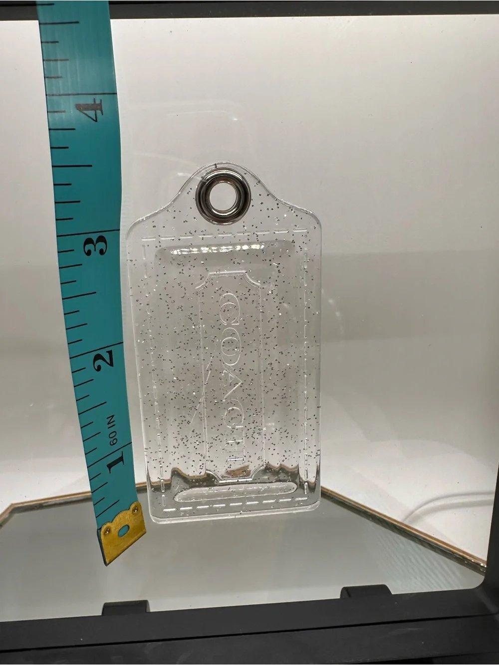Coach transparent luggage