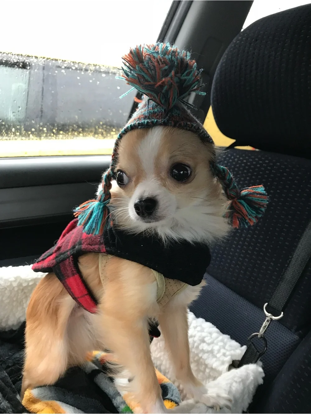 Good2Go knit hat