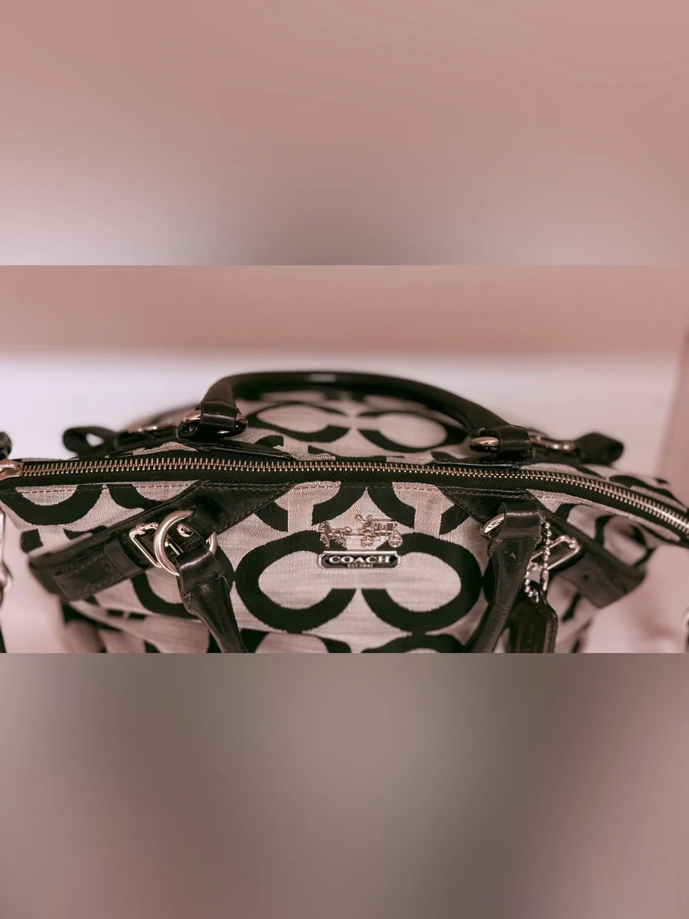 Coach opart signature