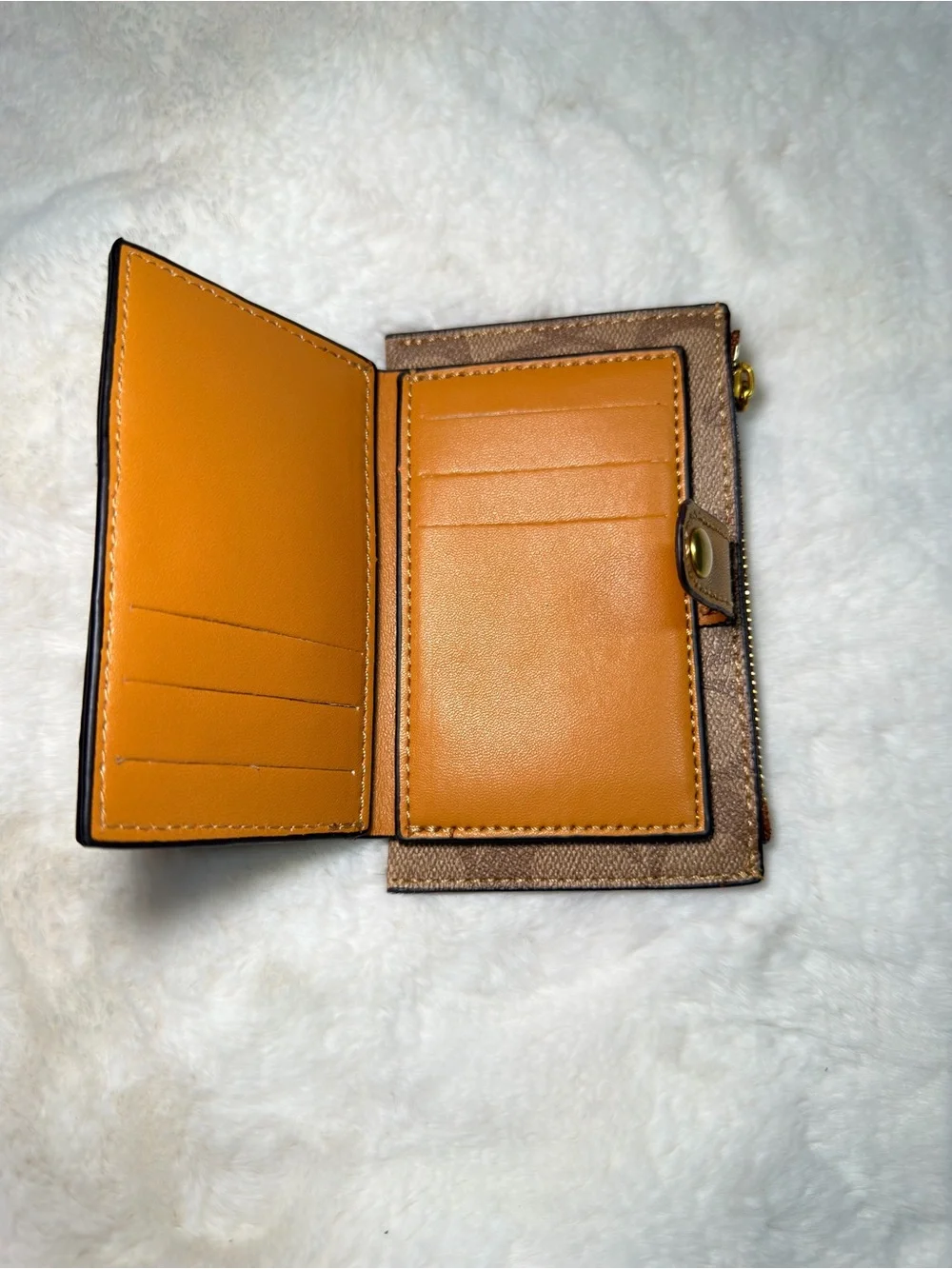 Coach compact card