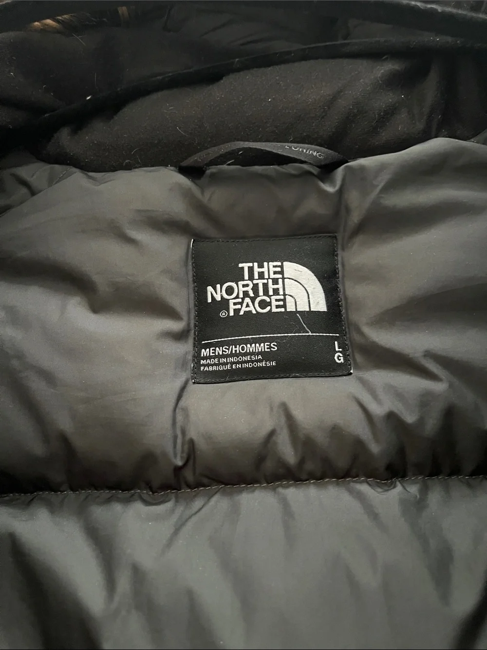 The North Face warmth parka