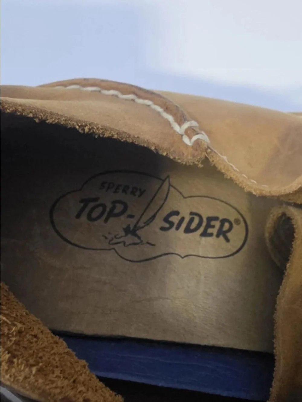 Sperry classic chukka