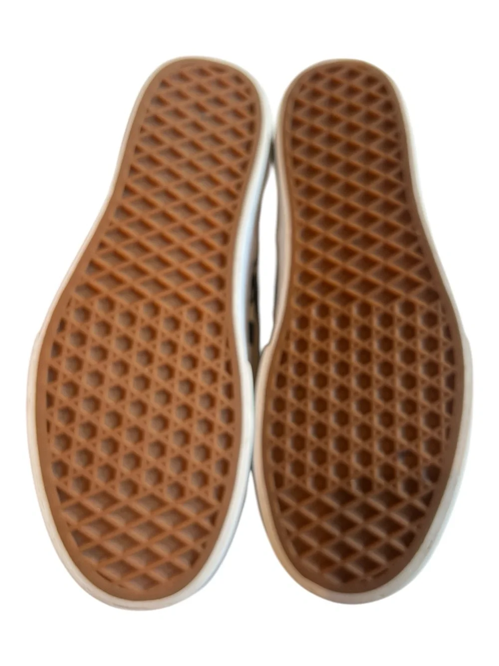 Vans iconic canvas