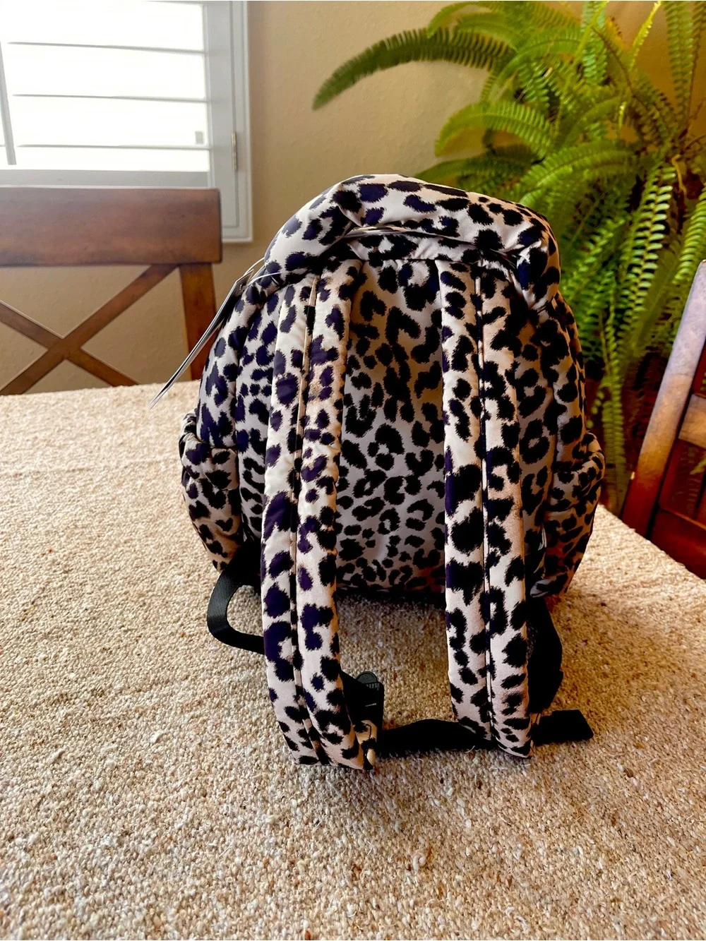 No Boundaries compact leopard