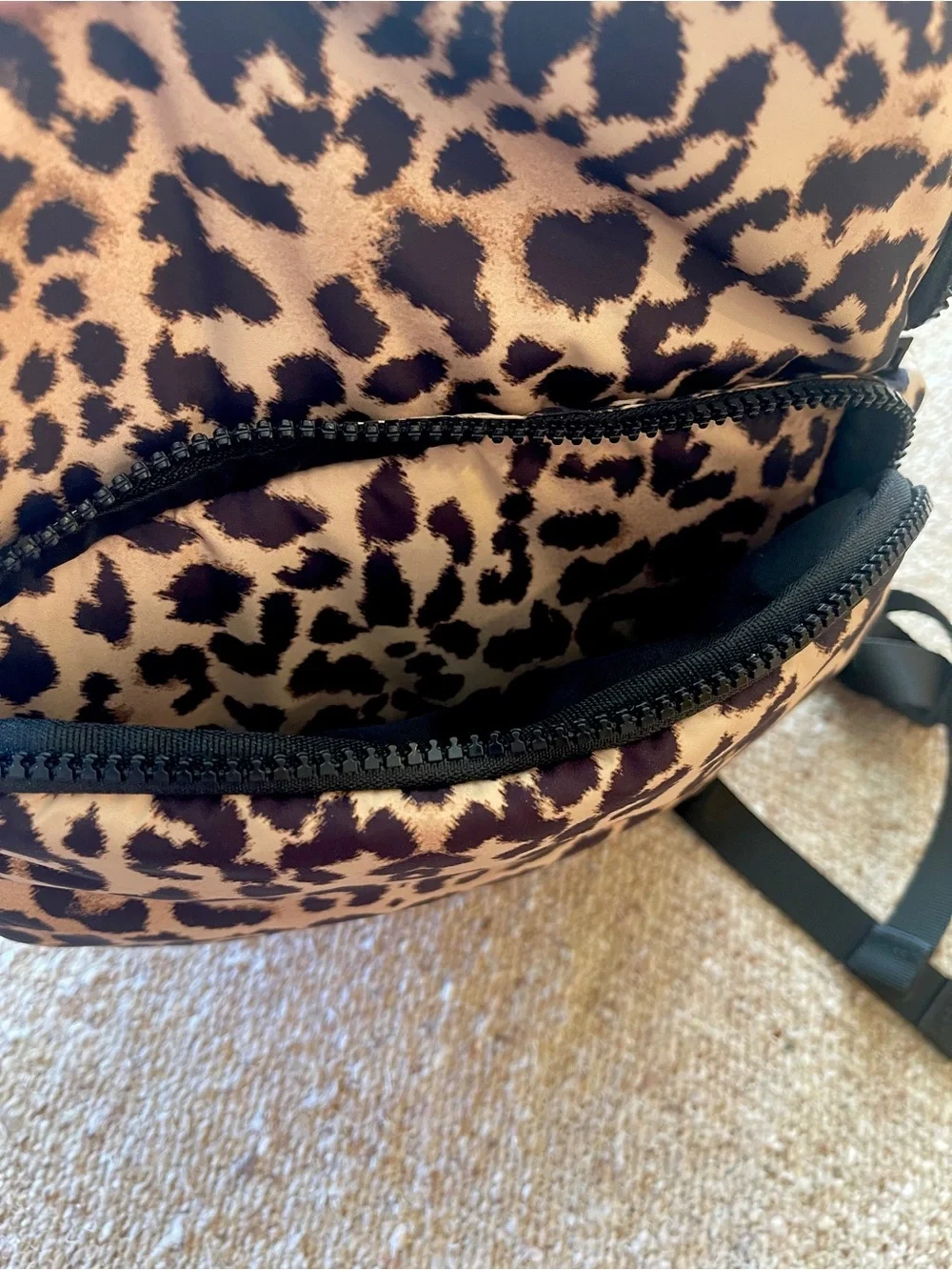 No Boundaries compact leopard