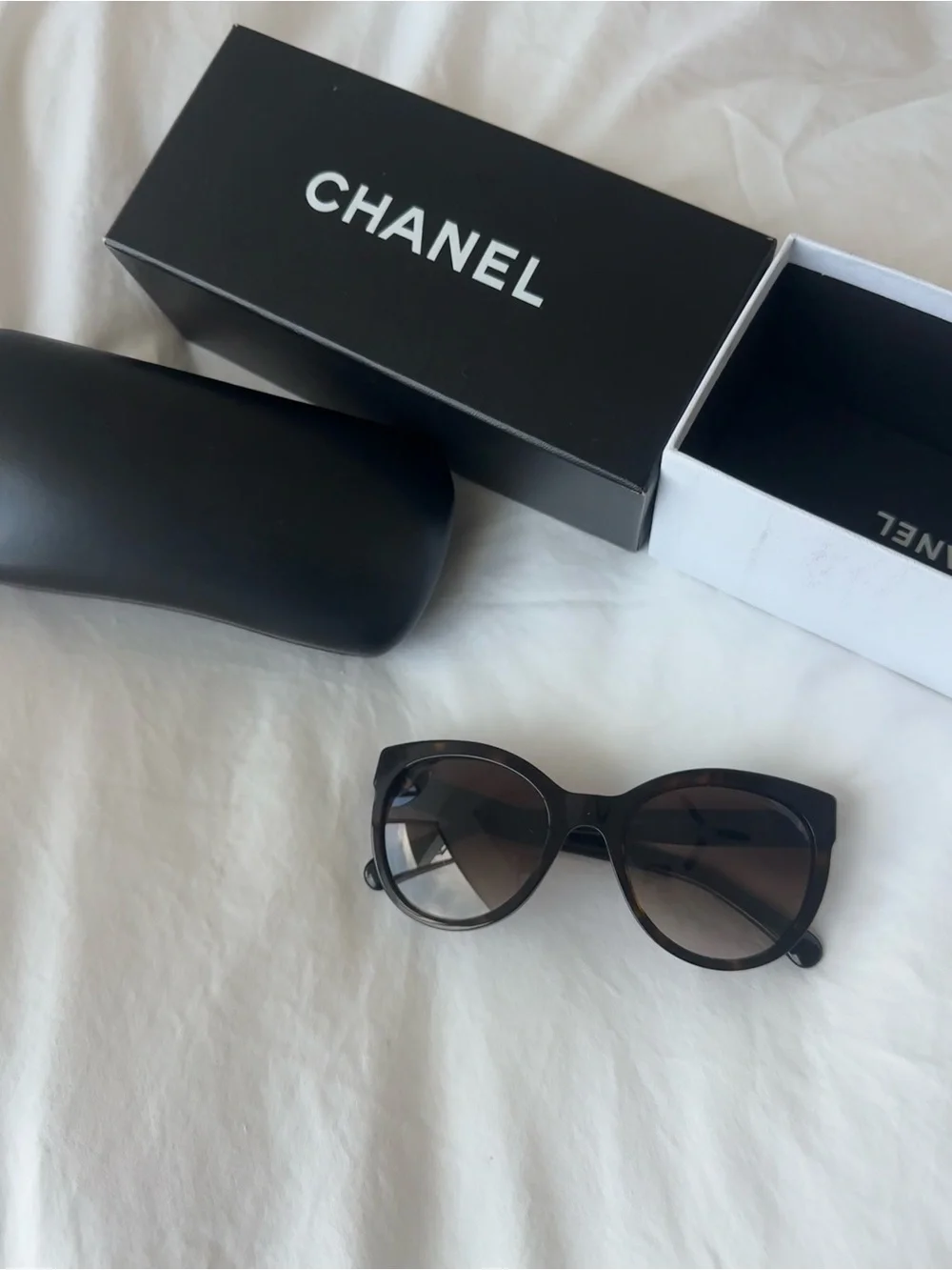 CHANEL stylish cat