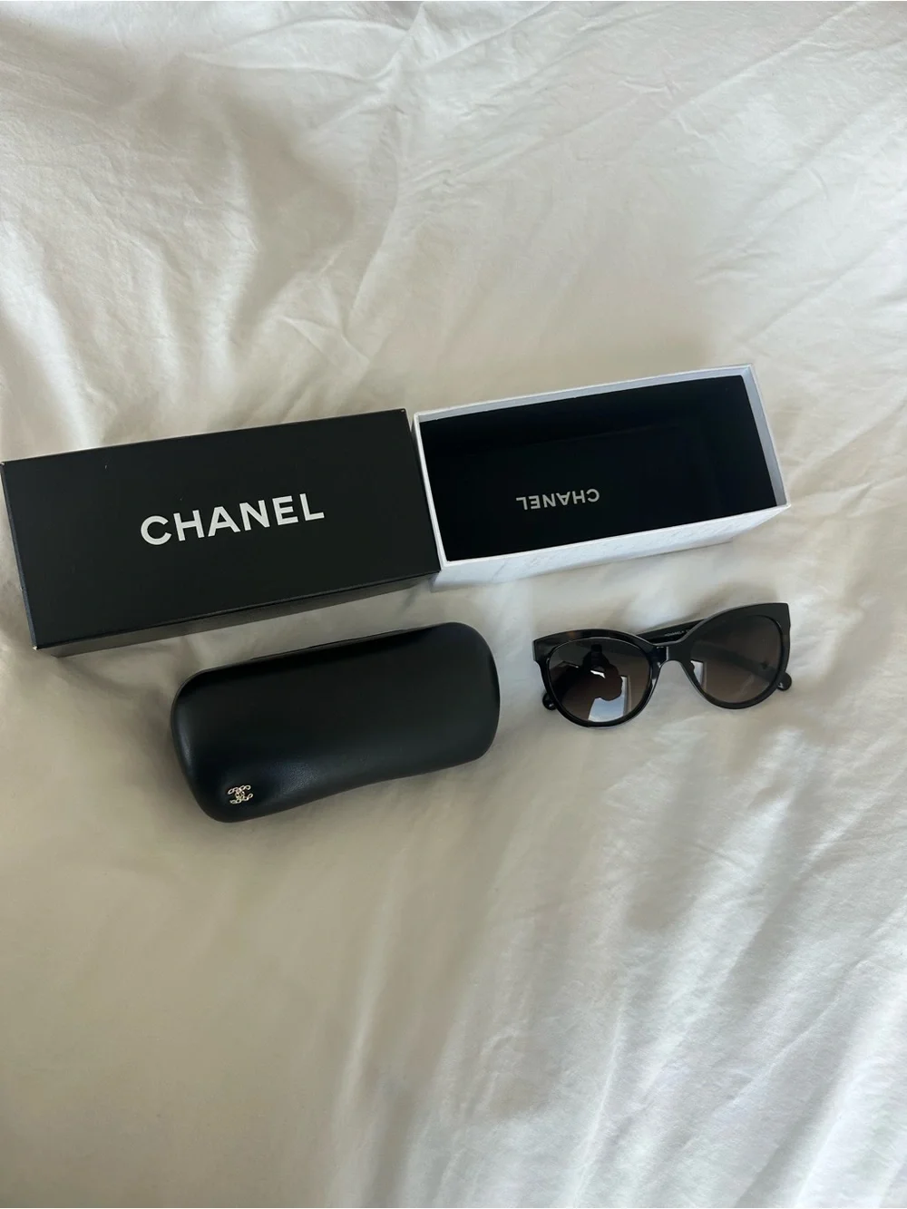 CHANEL stylish cat